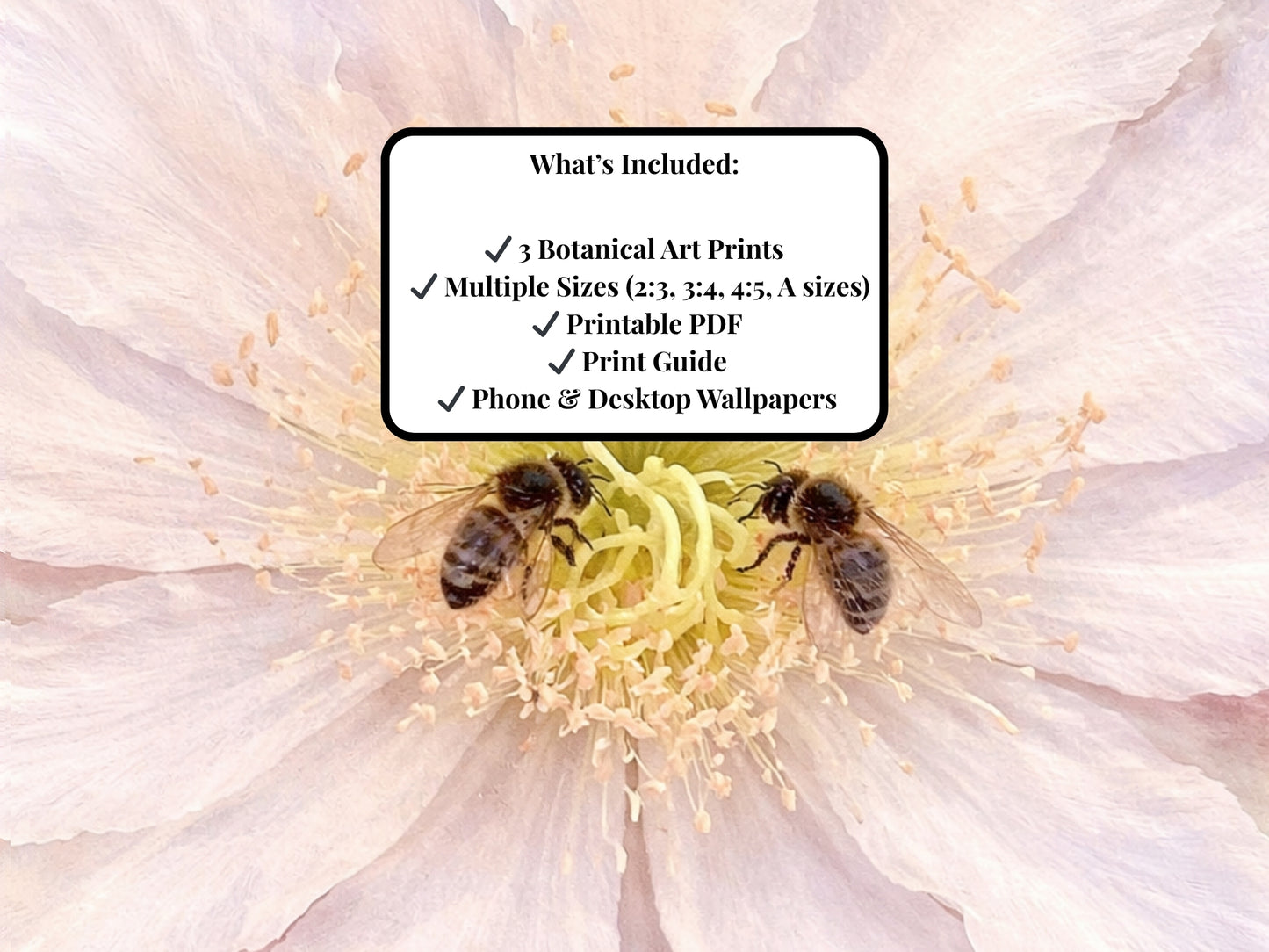 Spiral Bloom™ Botanical Art Set (3 Prints) – Digital Download