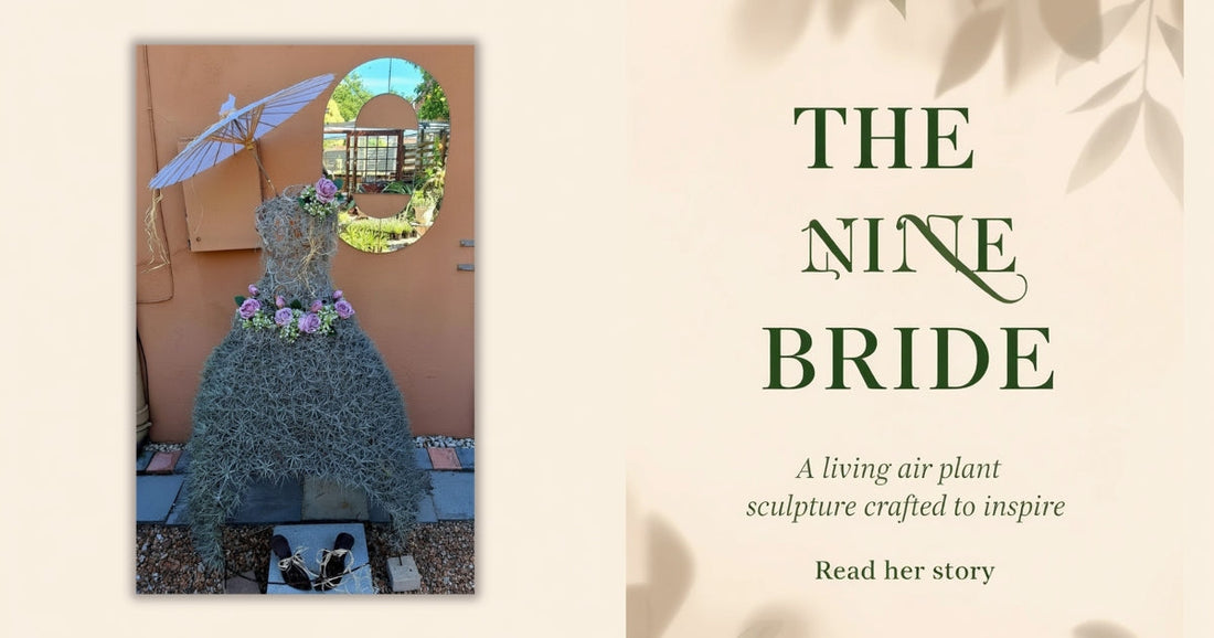 The Nine Bride — a living air plant sculpture crafted to inspire, handcrafted at Botanical at Nine in Boskloof, Humansdorp