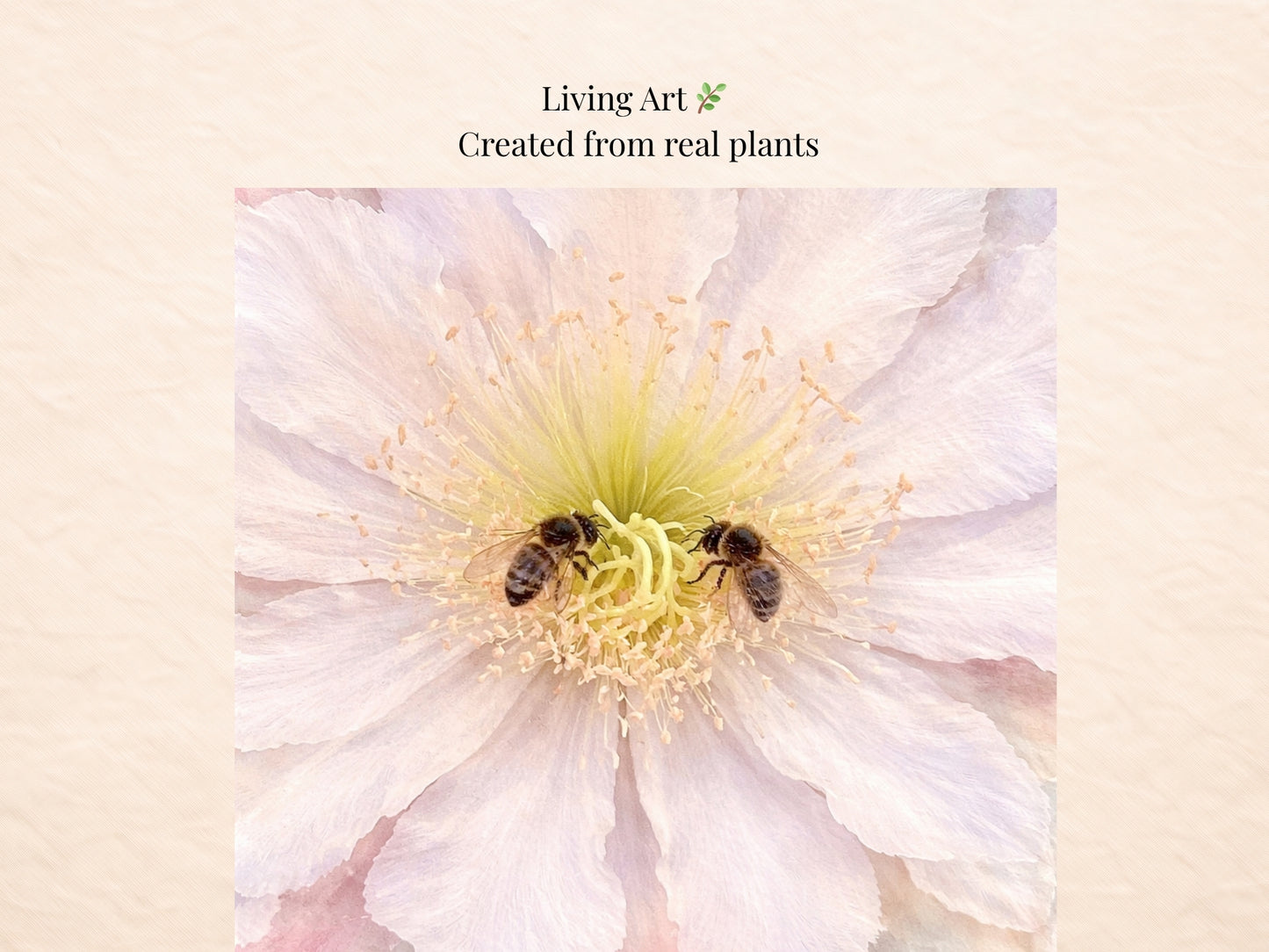 Spiral Bloom™ Botanical Art Set (3 Prints) – Digital Download