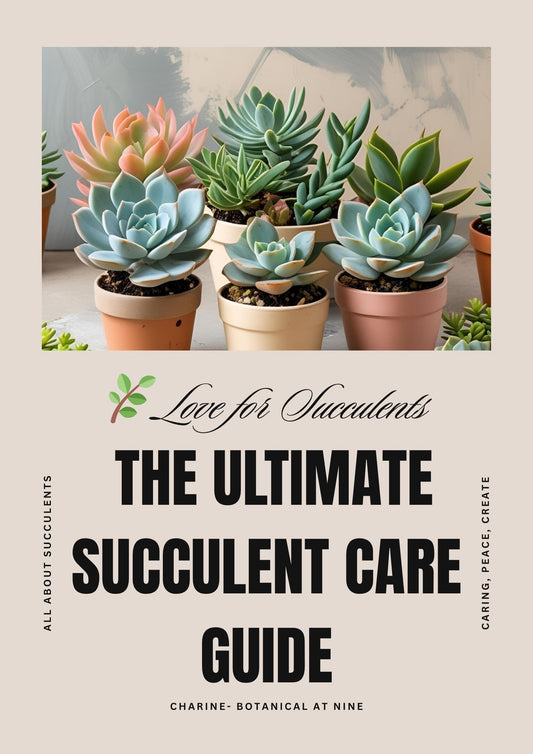 The Ultimate Succulent Care Guide