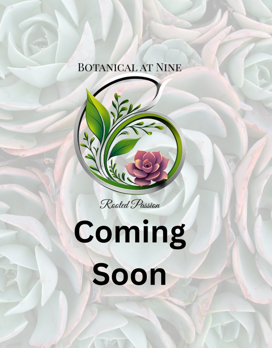 Coming Soon